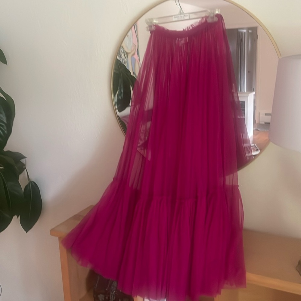 Geisha Designs Like New Tulle skirt from Anthropologie